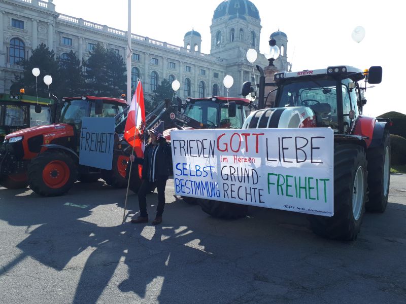 Demo Wien 800