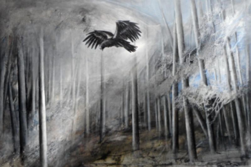 Eva Meloun Das weite Land