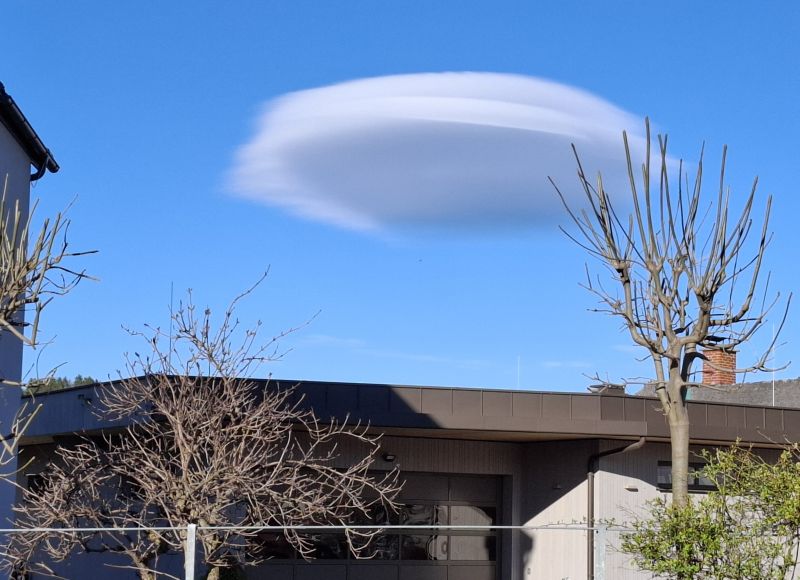 der Wolk